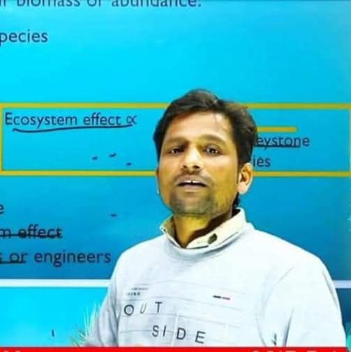 Tutor Profile