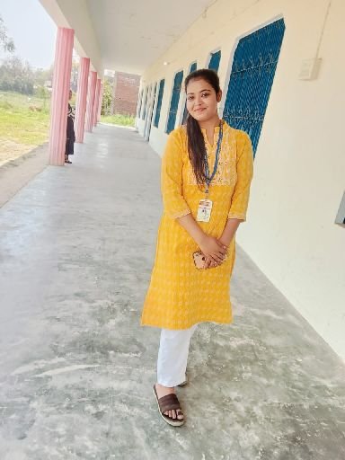 Tutor Profile